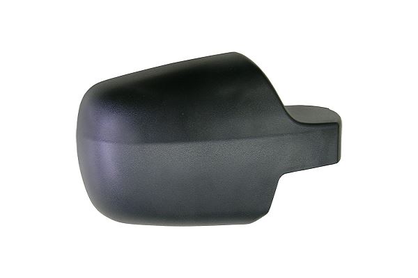 FIESTA FUSION AYNA KAPAĞI 02/05 SAĞ