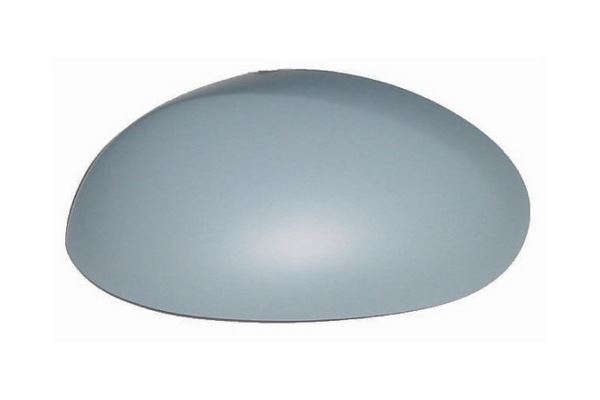 107 C1 AYNA KAPAĞI 05/13 ASTARLI SOL