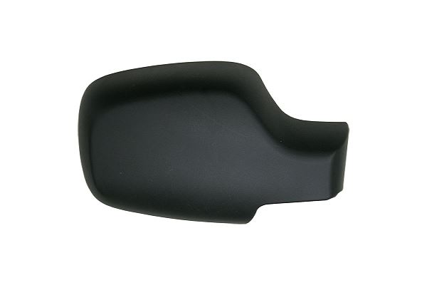 CLIO AYNA KAPAĞI 06/09 SİYAH SAĞ